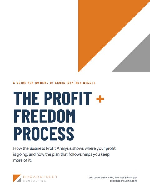 Cover of the Profit + Freedom Process Guide